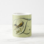 Aves canoras E inicial Caneca