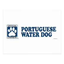 Azul português do cão de água cartoes postais