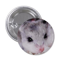 babyham boton