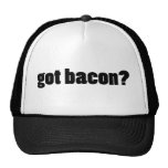 bacon obtido? bones