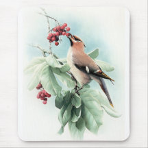 Bagas a comer mousepads