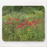 Bálsamo de abelha (bergamota) mouse pad