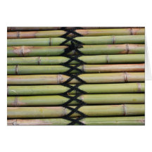 Bambu Cartoes