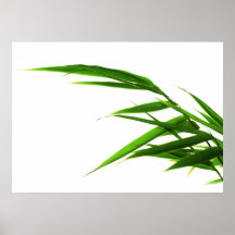 Bambu Posters