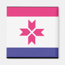 Bandeira de MOrdvinia Imã