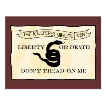 Bandeira dos Minutemen de Culpeper Cartao Postal