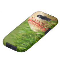 BASEBALL GALAXY SIII COBERTURAS