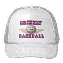 Basebol do urso bone