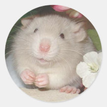 Bebê Adesivo
