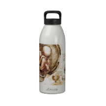 Bebê de Da Vinci Garrafas De Água