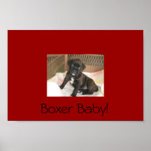 Bebê do pugilista! pôsteres