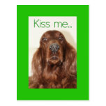 Beije-me….Eu sou irlandês Cartao Postal