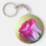 Beijos da gota da chuva da natureza no rosa do ros chaveiro