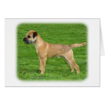 Beira Terrier 9T067D-045 Cartoes