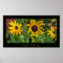 Beleza natural poster