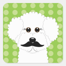 Bichon Frise com bigode Adesivo Quadrado