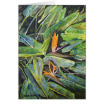 bird_of_paradise_2 cartões