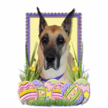 Biscoitos do ovo da páscoa - great dane - jovem co esculturafotos