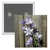 Bluebell roxo contra a porta velha boton