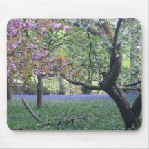 Bluebells na madeira de Phillipshill em Buckingham Mouse Pad
