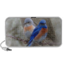 Bluebirds caixas de som