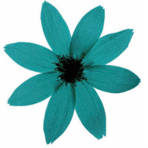blueflower escultura de foto
