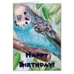 BlueParakeet Cartões