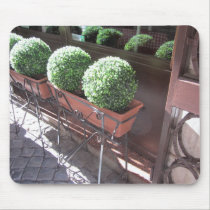 Bolas do Topiary tapetes para ratos
