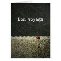 Bon voyage - coccinelle kaarten