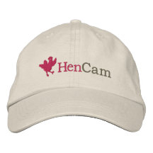 Boné de beisebol de HenCam