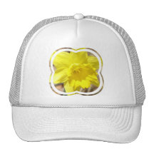 Boné de beisebol do clássico do Daffodil