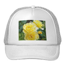 Boné de creme dos rosas da manteiga