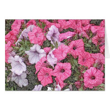 Bonito e cor-de-rosa cartões
