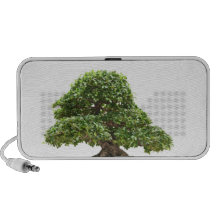 Bonsais do Ficus isolados Caixinha De Som Para Notebook