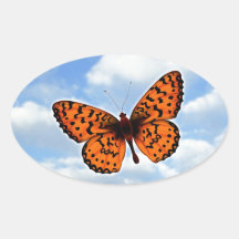 Borboleta alaranjada adesivos