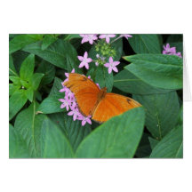 Borboleta alaranjada cartões