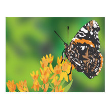 Borboleta Cartão Postal