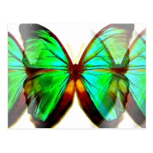 Borboleta Cartoes Postais