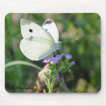Borboleta de couve mouse pads