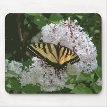 Borboleta Mousepad do NH