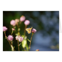 Borboleta no cartão de nota do vazio da planta