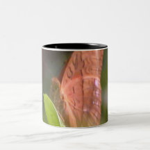 Borboleta preciosa caneca