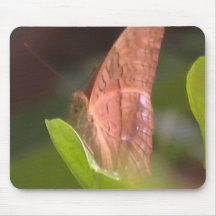 Borboleta preciosa mouse pad