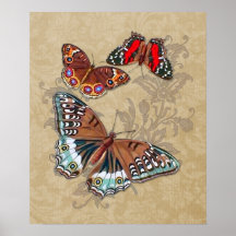Borboletas Brown Posters