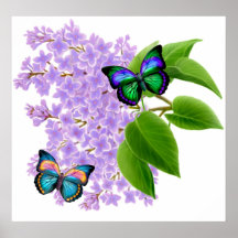 Borboletas nos Lilacs Posters