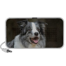 Border collie caixinha de som para mp3