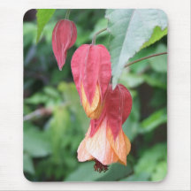 Bordo de florescência mouse pads