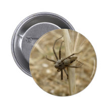 Botão da aranha do inseto rastejador pins