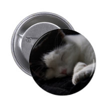 Botão da sesta do gato boton