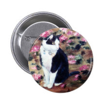 Botão do gato de Kaboodles Boton